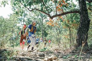 BIB: 
                            <button type="button" onclick="openModal(26095203)" class="btn btn-primary btn-sm float-right btn-popup" data-toggle="modal" data-target=".modal-high-quality">
                        <i class="fas fa-shopping-cart"></i> Add to Cart
                    </button>
                                            <button type="button" onclick="isThisMe(26095203, true)" class="btn btn-success btn-sm float-right btn-popup btn-isme hidden" data-toggle="tooltip" data-placement="bottom" title="นี่คือรูปของคุณใช่ไหม คลิกที่นี่เพื่อเอาเข้าอัลบั้ม">
                        <i class="fas fa-plus"></i> Add to album
                    </button>
                    <button type="button" onclick="isThisMe(26095203, false)" class="btn btn-warning btn-sm float-right btn-popup btn-isnotme hidden">
                        <i class="fas fa-ban"></i> Remove from album
                    </button>